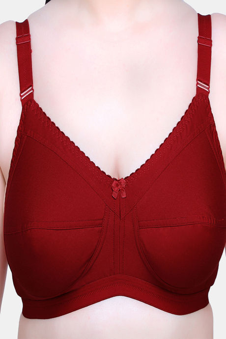 Maroon Clothing Single Layered Non Wired Full Coverage Minimiser Bra (Pack of 2) - Multicolor — image 9